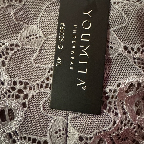 NWT Two Pair of Ladies Panties size 2x - Picture 7 of 11